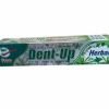 Dent Up Toothpaste 70g