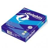 dolphin