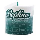 neptune